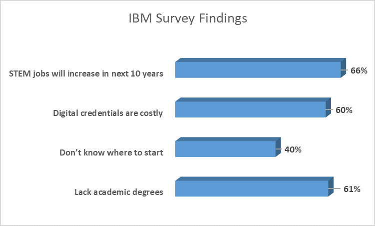 IBM Survey Findings