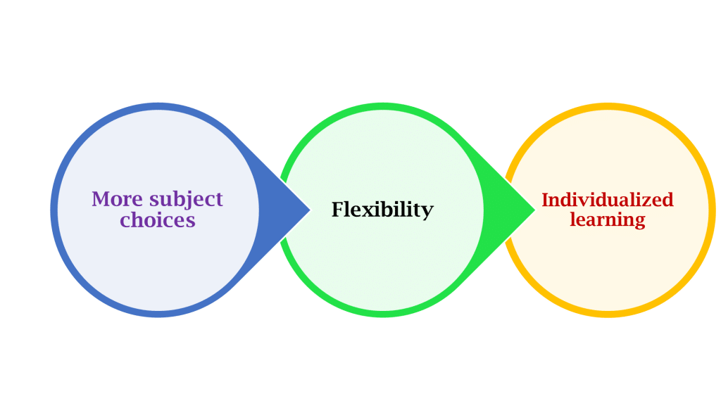 Advantages and Disadvantages of Online Education