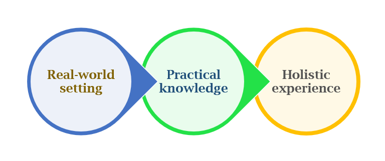 Why Is It Essential to Acquire Theoretical Knowledge and Gain Practical Experience?